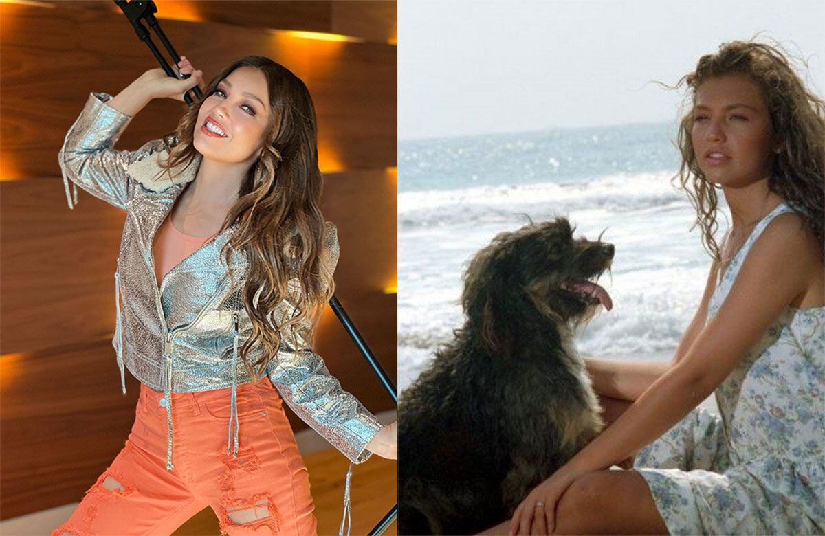 Reviven el reencuentro entre Thalía y “Pulgoso”, el perro de “Marimar” que  “hablaba” con acento costeño: la actriz se conmovió al ver la mascota que  la acompañó en las grabaciones | Gente |