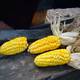 Rumiñahui logra que el maíz entre en lista patrimonial de Ecuador