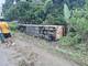 Cinco heridos por volcamiento de un bus interprovincial en la carretera Esmeraldas - Quinindé 