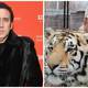 Nicolas Cage interpretará a Joe Exotic en una nueva serie sobre 'Tiger King'