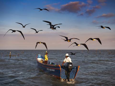 Comunidades pesqueras ecuatorianas están 'severamente' amenazadas por el cambio climático