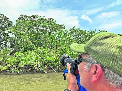 Carbono azul: Cuidemos los manglares de Galápagos