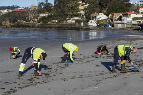 Ola de pellets inunda playas de España y Portugal lo que revive la lucha contra la contaminación por microplásticos