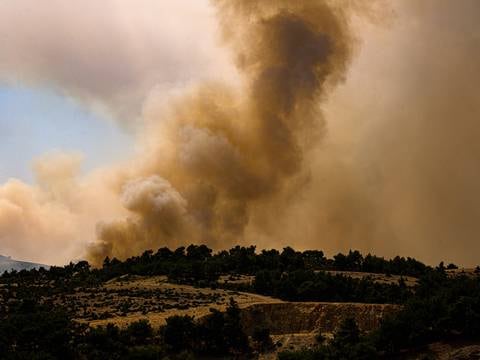 Encuentran cuerpos de 27 supuestos migrantes víctimas de los incendios en el noreste de Grecia