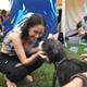 Festivanimal se realiza en parque de la Kennedy con 20 mascotas en adopción e instalación gratuita de microchips