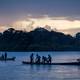 Con monitoreo satelital se investiga a delfines  en Amazonía de Ecuador