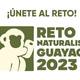Guayaquil compite con otras 400 urbes en el City Nature Challenge 2023