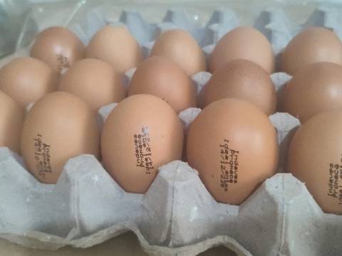 Pronaca inició el cierre ordenado de su marca de huevos Indaves para enfocarse en otras líneas con mayor valor agregado  