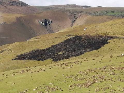 Bomberos de Quito controlaron incendio forestal en el cerro Rumihurco