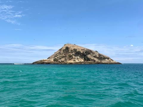 Curioso proyecto busca regenerar los corales de las aguas aledañas al islote El Sucre, en el Parque Nacional Machalilla