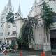 Podan árbol de caucho afectado por las lluvias en la Arquidiócesis de Guayaquil