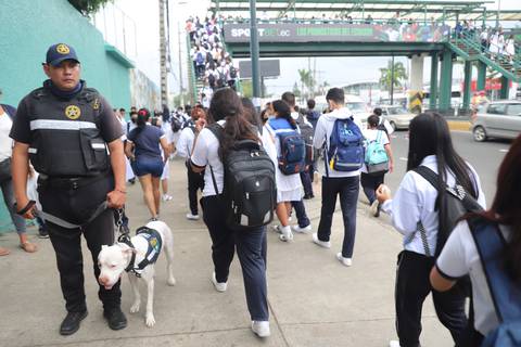 Este es el cronograma y paso a paso de la matriculación en escuelas y colegios fiscales del régimen Costa-Galápagos  