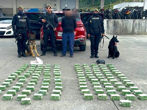 Zeus y Lili dieron la alerta para decomisar 6.100 cápsulas de heroína en operativo