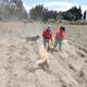 Desesperación en el campo de Cotopaxi ante la falta de lluvias