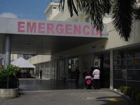 Dengue en Ecuador: hay 27.000 casos y cifra iguala a todo el 2023; médicos piden declarar alerta sanitaria 