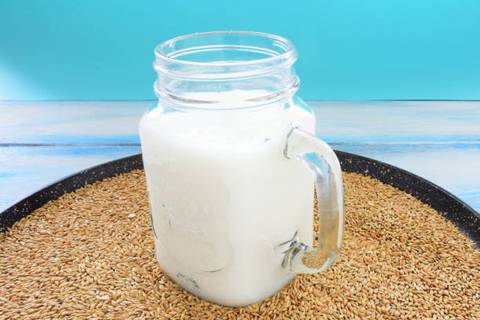 Así puedes preparar la leche de alpiste que ayuda a bajar de peso, a regular el colesterol y la tensión arterial