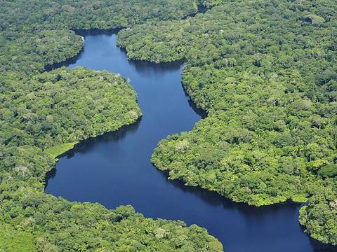 ‘Es importante dar pasos agigantados para la transición ecológica y económica del Ecuador’: lo que significa la creación del biocorredor amazónico