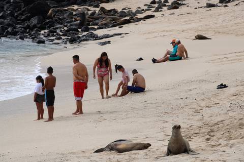 Alza de tarifas para visitar Galápagos podría aliviar presión a servicios básicos de la isla y a sus ecosistemas