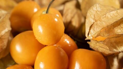 Bayas doradas o frutas del amor: un superalimento que cuida tu corazón y puedes comer de esta manera