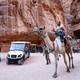 Autos eléctricos sustituyen a los carruajes en la turística Petra, Jordania