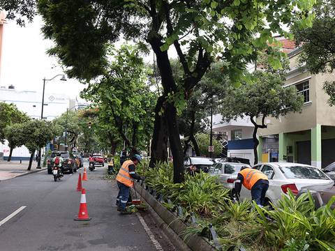 Árboles ubicados en la calle Rocafuerte reciben mantenimiento