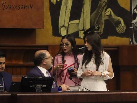 Mayoría de los legisladores demanda  una sanción para la asambleísta Pamela Aguirre, de la Revolución Ciudadana