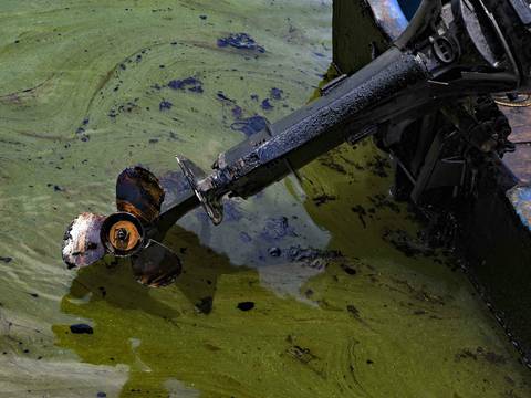 Petróleo se filtra al Lago de Maracaibo, en Venezuela, afectando a especies y pescadores