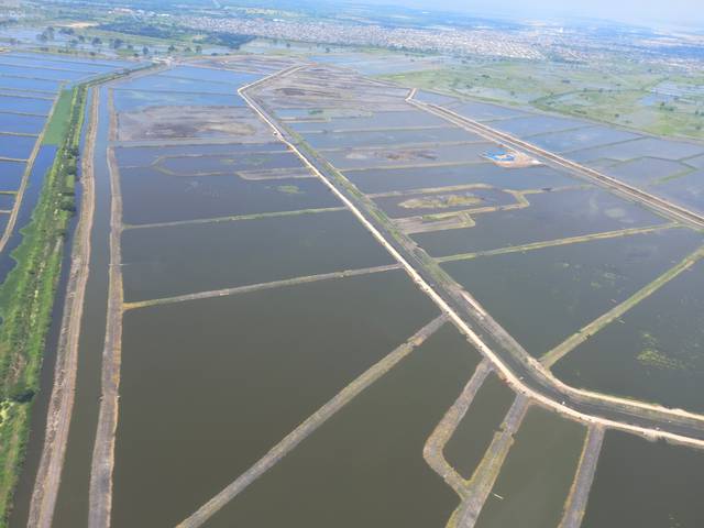 Más de 110.000 hectáreas de camaroneras en riesgo de inundación si llega El Niño. Más de la mitad son concesionadas y sector busca ‘salvavidas’ con decreto ley