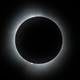 Eclipse solar del 8 de abril del 2024 EN VIVO