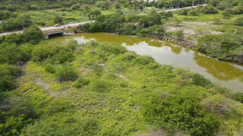 Según la fundación Oloncito, empresa de Lavinia Valbonesi levantará parte de un proyecto inmobiliario en un bosque protector: han talado árboles y manglar