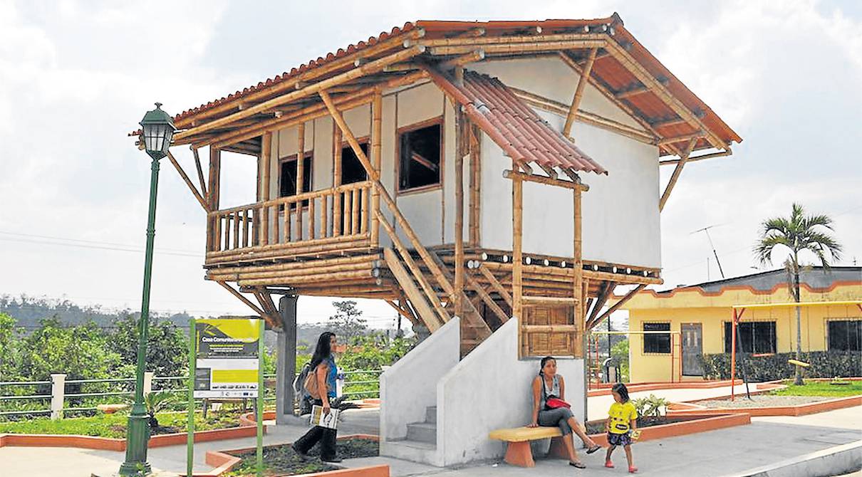 Bambú adapta viviendas al cambio climático | Ecología | La Revista | El  Universo
