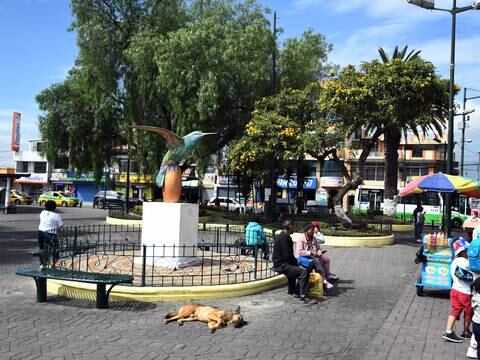 ‘Antes teníamos la tranquilidad de salir’: moradores de Calderón, en el noreste de Quito, están inquietos por aumento de muertes violentas