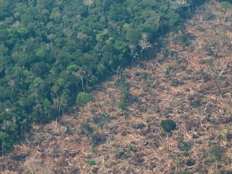 La deforestación en la Amazonía brasileña se dispara y bate el récord en enero