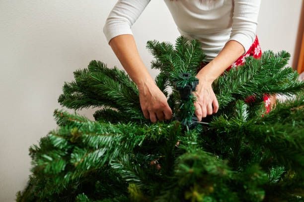 Cuál es la fecha ideal para poner el árbol de Navidad en casa?, Univision  19 Sacramento KUVS