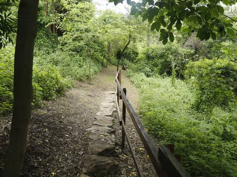 En el bosque protector Cerro Blanco se desarrollarán actividades para que niños con movilidad reducida realicen senderismo