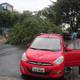 Aguacero en Guayaquil dejó árboles caídos, daños materiales y anegó algunas zonas