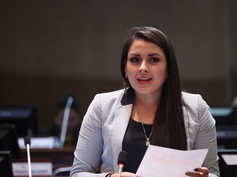 Gabriela Díaz: ‘El Ejecutivo debe desistir de sus dos nuevos proyectos’