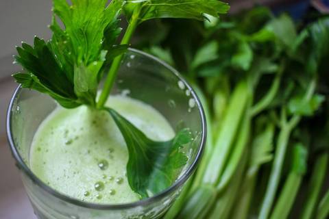 Licuado verde antioxidante: Así se prepara el jugo de celery que hidrata y mejora la digestión