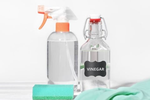 Por qué tanta gente rocía vinagre en la puerta de su casa: costumbre ancestral en América se vuelve tendencia