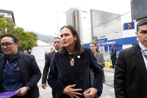 Ministerio de Ambiente y Energía confirma que Inés Manzano no ocupará un nuevo cargo en el Gobierno