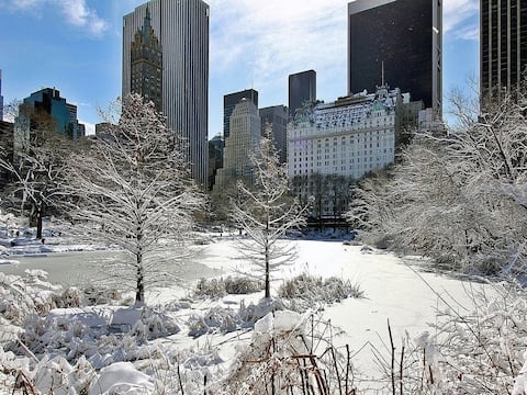 Se aproxima viento ártico, frío polar y nieve a Nueva York: Este es el pronóstico actualizado para los próximos días