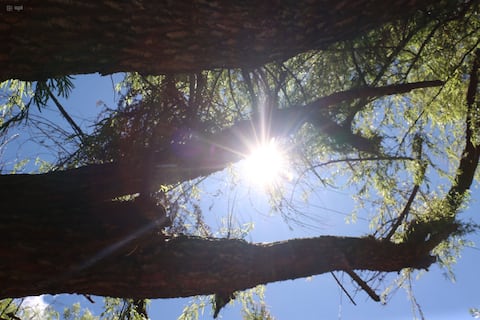 Inamhi alerta sobre días de altas temperaturas diurnas en varias regiones del país hasta el 15 de diciembre