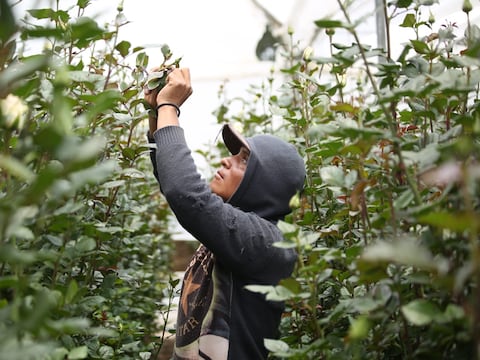 BID aprueba crédito de más de $ 200 millones que serán destinados para Pymes, en Ecuador