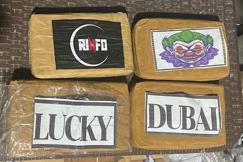 Frustran envío de cerca de 300 paquetes de droga desde puerto de Guayaquil al extranjero