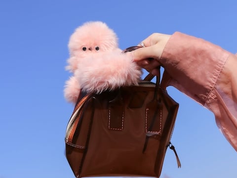 El sucesor de Labubu: Mirumi, el robot en miniatura que te acompaña a todos lados