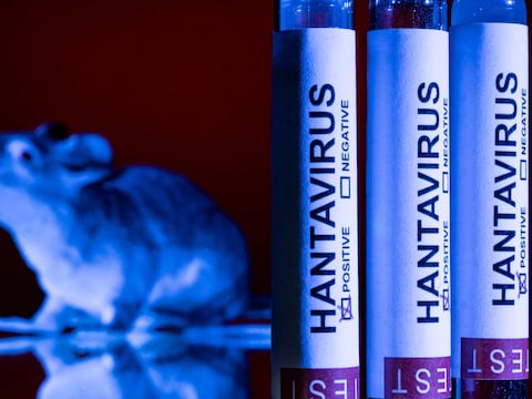 Como el Ébola, pero silencioso: el extraño hallazgo en Suiza sobre la transmisión sexual del hantavirus años después de la infección