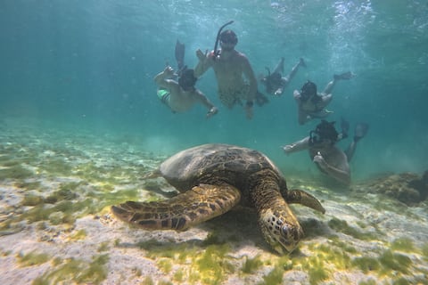 Galápagos, un destino para viajar entre amigos