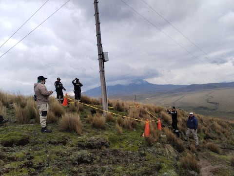 Cóndor andino fue encontrado sin vida en el parque nacional Antisana
