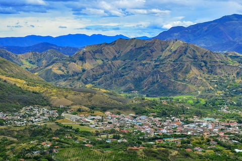 La ‘farmacia viviente’ de Vilcabamba: el extraño árbol que respira salud y define el paisaje del valle de la longevidad