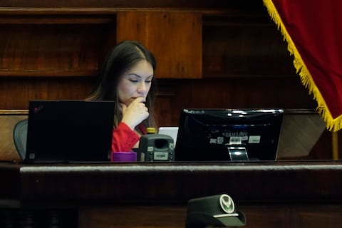 Listo proyecto de ley antimafia que presentará ADN para desarticular las economías criminales
